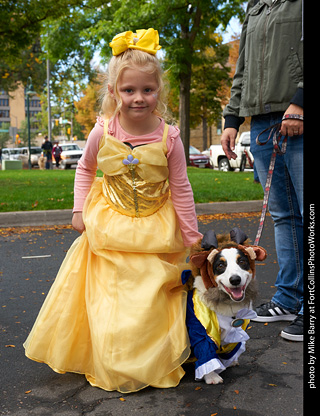Tour de Corgi - meet up