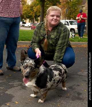 Tour de Corgi - meet up