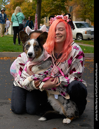 Tour de Corgi - meet up