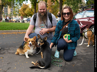 Tour de Corgi - meet up