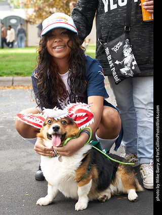 Tour de Corgi - meet up