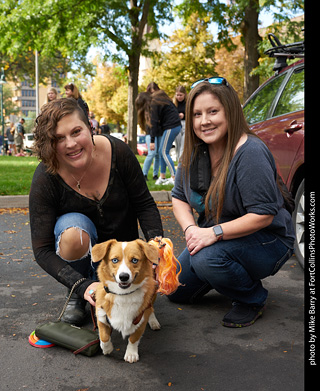 Tour de Corgi - meet up