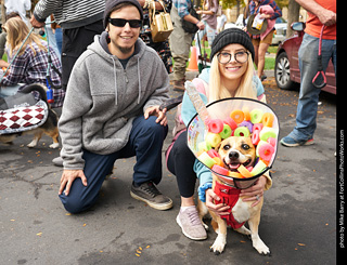 Tour de Corgi - meet up