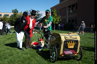 Tour de Corgi - meet up