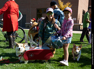 Tour de Corgi - meet up