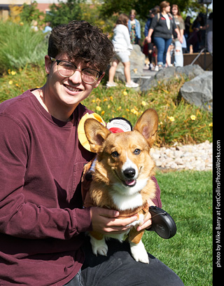 Tour de Corgi - meet up