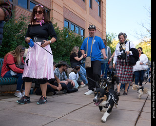Tour de Corgi - Parade