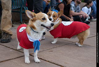 Tour de Corgi - Parade