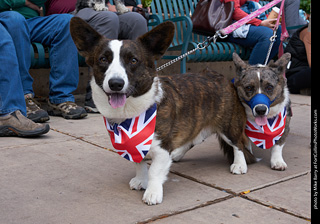 Tour de Corgi - Parade