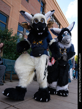 Tour de Corgi - Parade