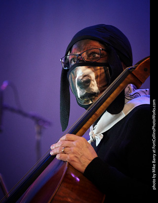 Escape to the Dungeon