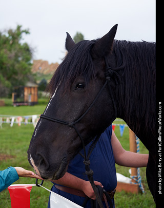 CMF 2023 - Knights of Mayhem