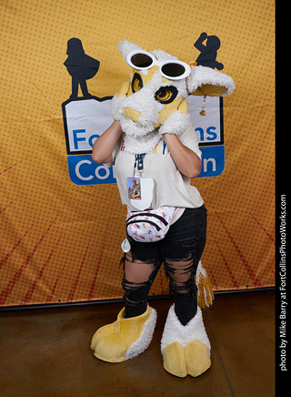 Fort Collins Comic Con 2023 day1