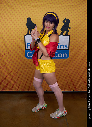 Fort Collins Comic Con 2023 day1