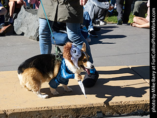 Tour de Corgi 2023 - p2
