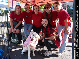 Tour de Corgi 2023 - p12
