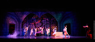 Dracula by Canyon Concert Ballet