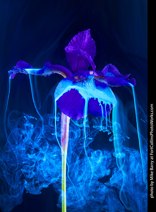 Submerged Flowers and Acrylic Paint