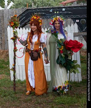 Colorado Medieval Fair- Cosplay Contest
