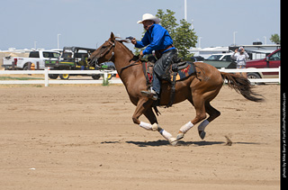 Regulators at the Larimer County Fair 2024