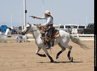 Regulators at the Larimer County Fair 2024
