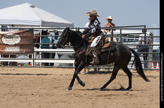 Regulators at the Larimer County Fair 2024