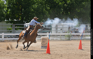 Regulators at the Larimer County Fair 2024