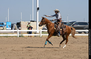 Regulators at the Larimer County Fair 2024
