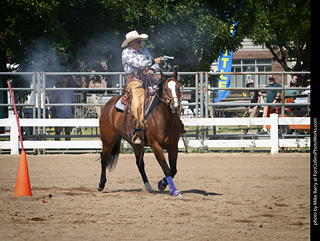 Regulators at the Larimer County Fair 2024