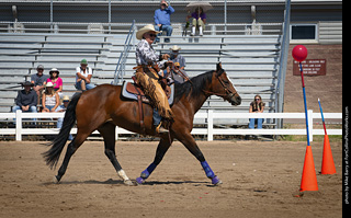 Regulators at the Larimer County Fair 2024
