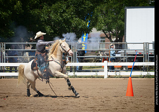 Regulators at the Larimer County Fair 2024