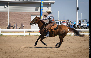 Regulators at the Larimer County Fair 2024