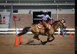 Regulators at the Larimer County Fair 2024