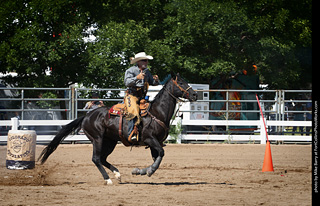 Regulators at the Larimer County Fair 2024