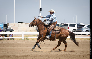 Regulators at the Larimer County Fair 2024