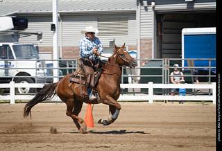 Regulators at the Larimer County Fair 2024