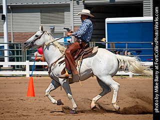 The Regulators at LCF 2024 #6