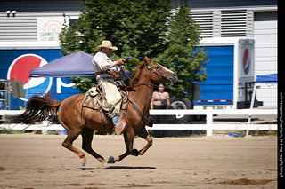 Regulators at the Larimer County Fair 2024