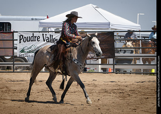 Regulators at the Larimer County Fair 2024