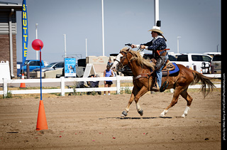 Regulators at the Larimer County Fair 2024