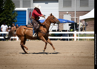Regulators at the Larimer County Fair 2024