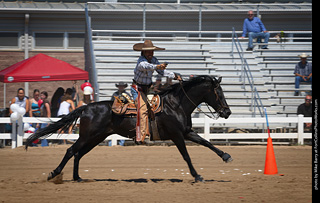 Regulators at the Larimer County Fair 2024