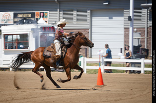 Regulators at the Larimer County Fair 2024