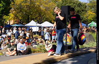 2024 Tour de Corgi - contest