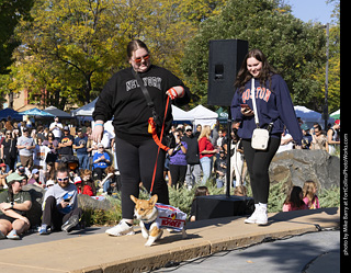 2024 Tour de Corgi - contest