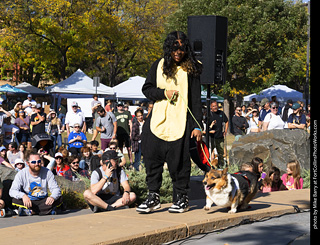 2024 Tour de Corgi - contest