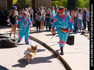 Tour de Corgi - Contest #5