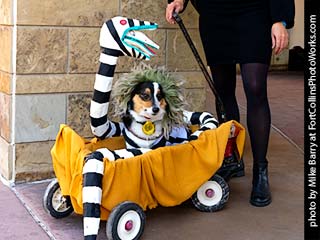 Tour de Corgi - Guests #2