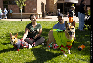 2024 Tour de Corgi - guests