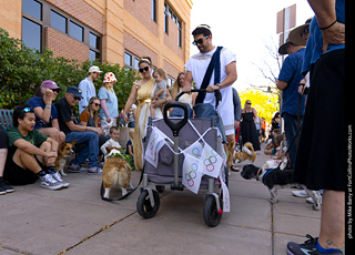 2024 Tour de Corgi - tour